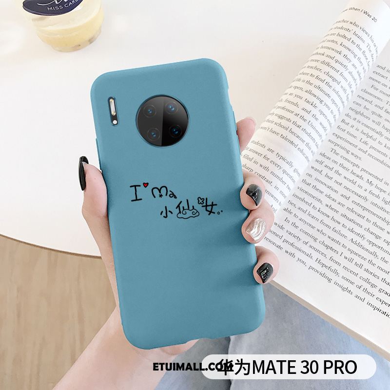 Etui Huawei Mate 30 Pro Proste Telefon Komórkowy All Inclusive Anti-fall Ochraniacz Futerał Sklep
