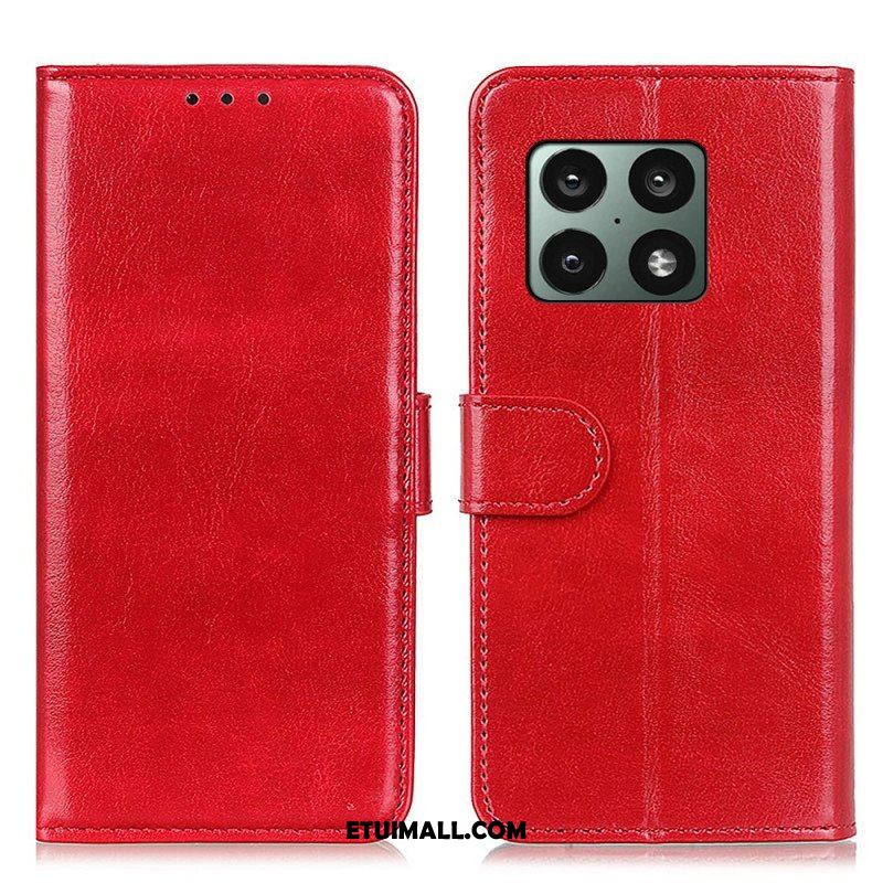 Etui Folio do OnePlus 10 Pro 5G Mrożona Finezja