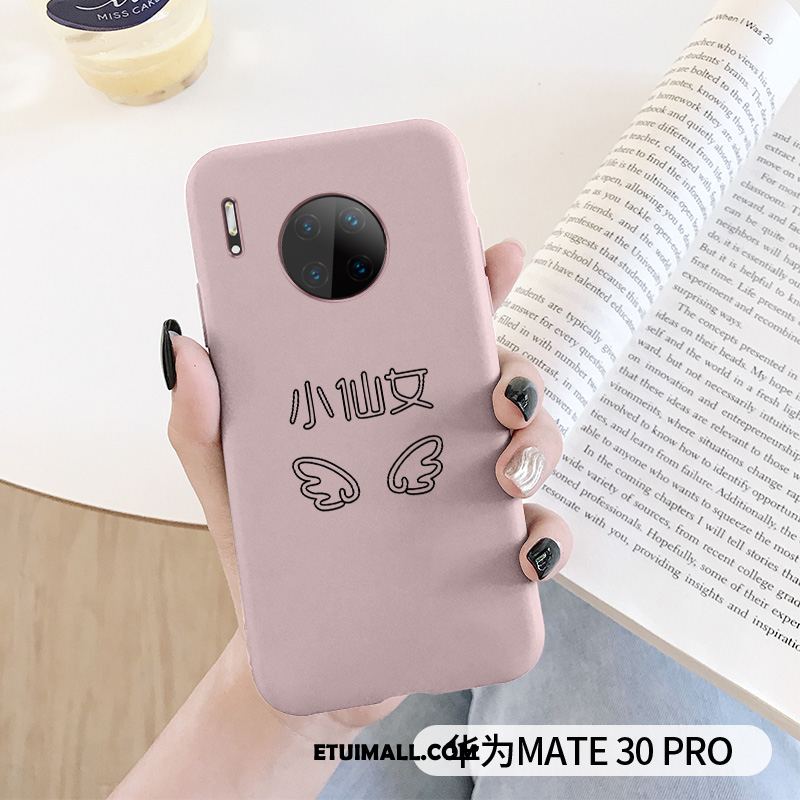 Etui Huawei Mate 30 Pro Proste Telefon Komórkowy All Inclusive Anti-fall Ochraniacz Futerał Sklep