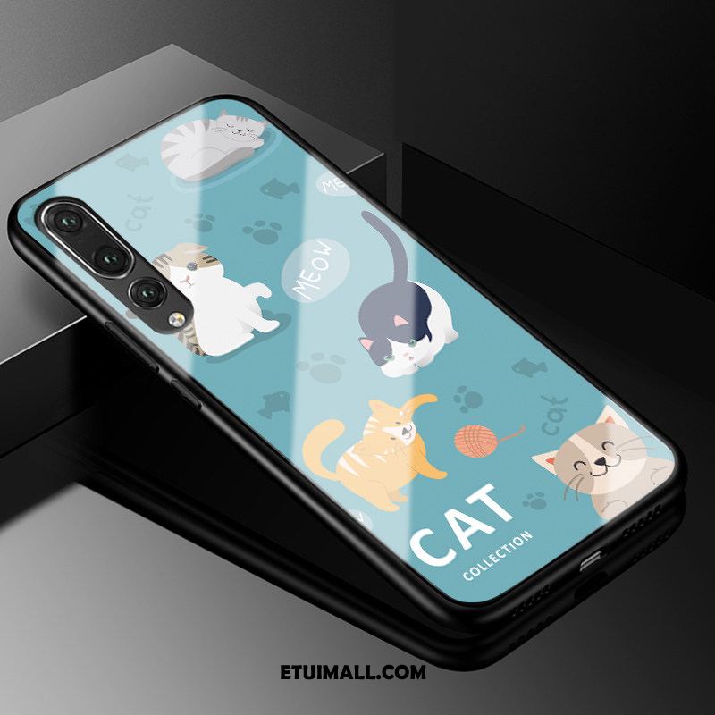 Etui Huawei P20 Pro Telefon Komórkowy All Inclusive Kotek Jasny Szkło Pokrowce Kupię