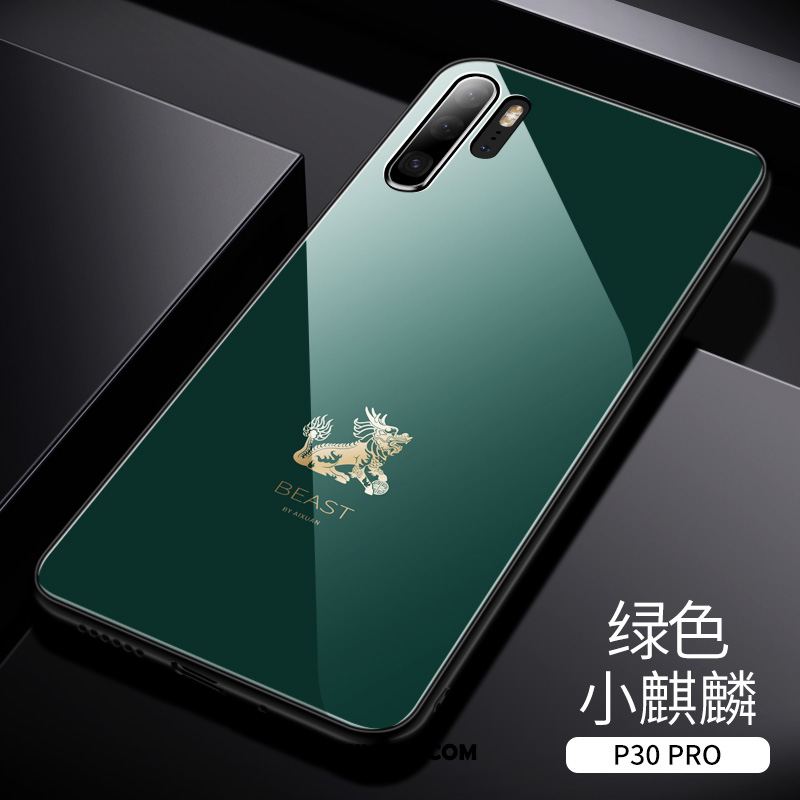 Etui Huawei P30 Pro Wysoki Koniec Modna Marka Tylna Pokrywa Ochraniacz Tendencja Pokrowce Sklep