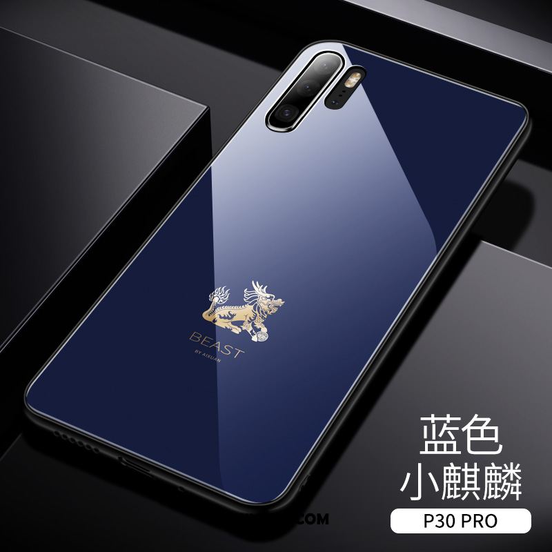 Etui Huawei P30 Pro Wysoki Koniec Modna Marka Tylna Pokrywa Ochraniacz Tendencja Pokrowce Sklep