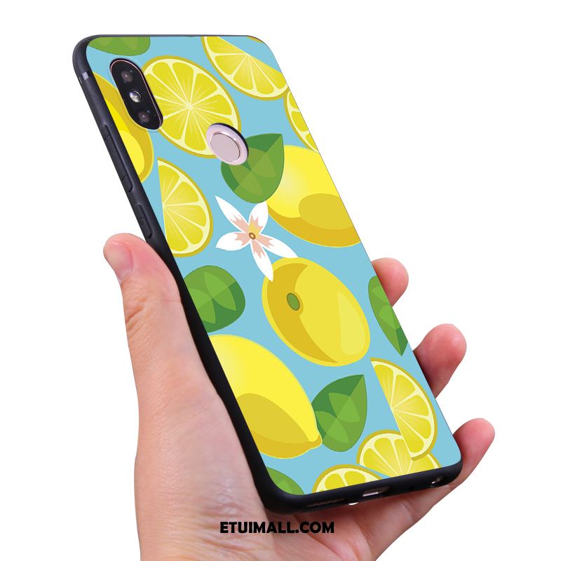 Etui Xiaomi Mi Max 3 Owoce Ochraniacz Czerwony Mały All Inclusive Futerał Na Sprzedaż