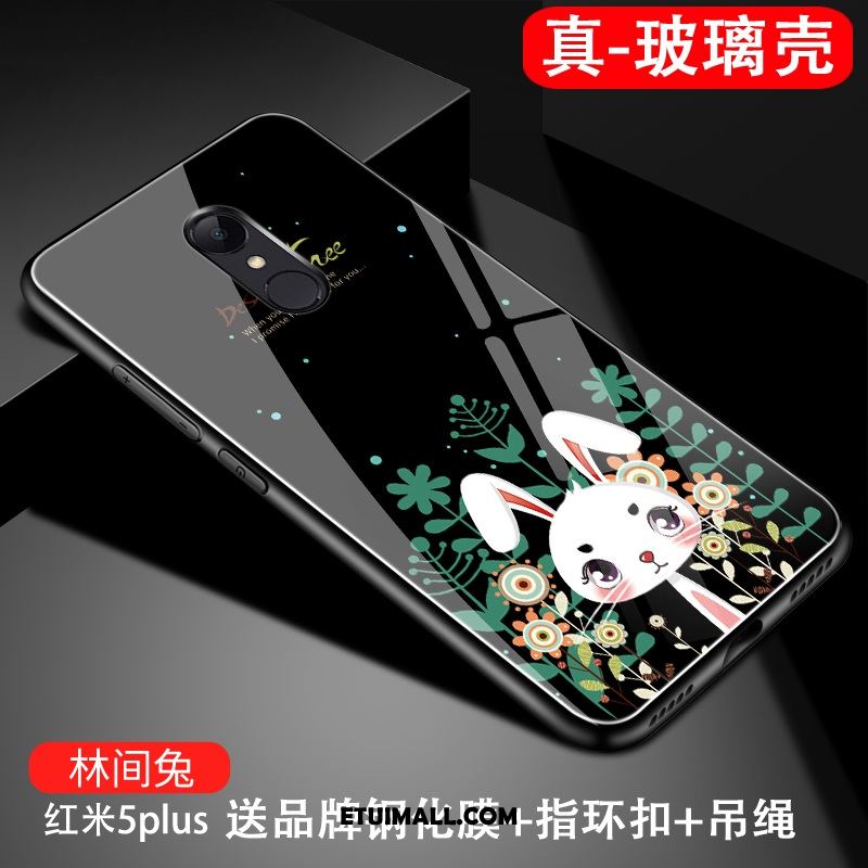 Etui Xiaomi Redmi 5 Plus Czarny Miękki Szkło Telefon Komórkowy Osobowość Obudowa Tanie