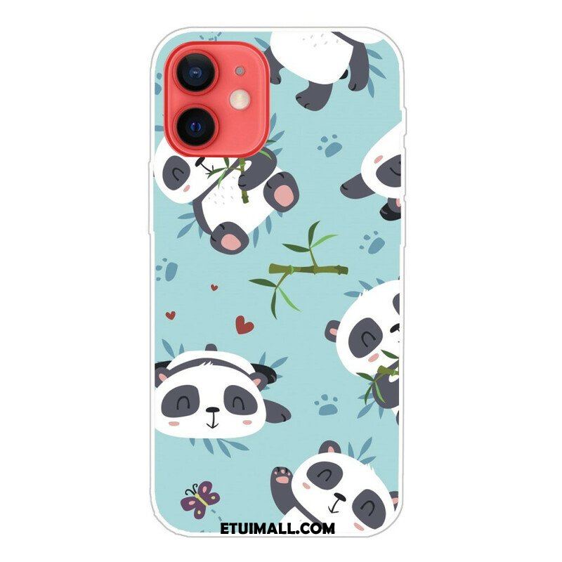 Etui do iPhone 13 Mini Banda Pand