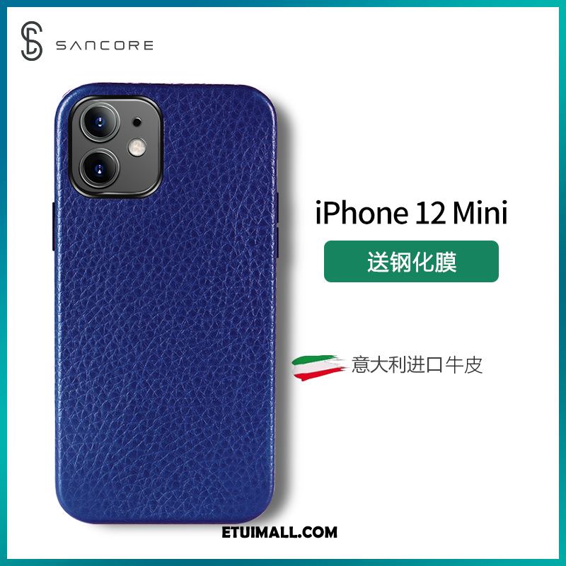 Etui iPhone 12 Mini Gwiazda Tendencja Purpurowy Wysoki Koniec Telefon Komórkowy Pokrowce Oferta