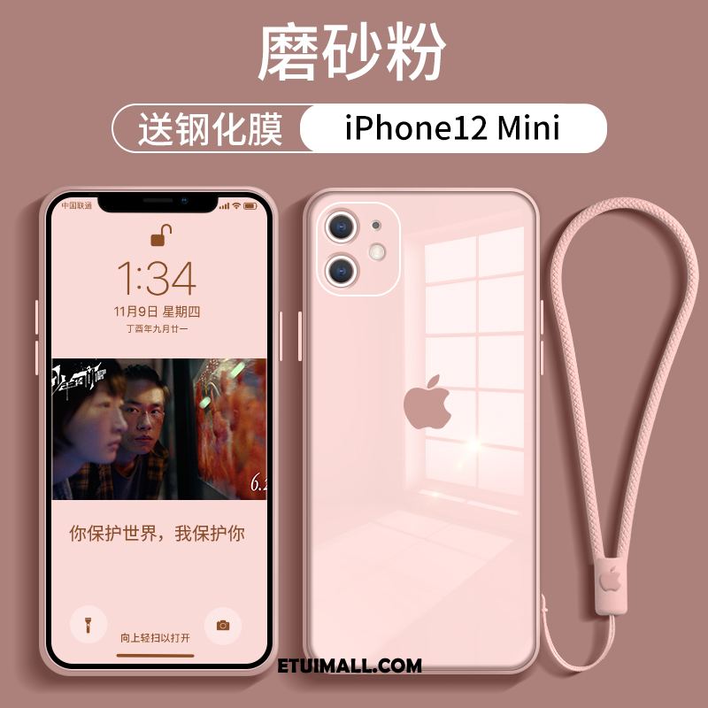 Etui iPhone 12 Mini Purpurowy Czerwony Netto Anti-fall Telefon Komórkowy All Inclusive Obudowa Sprzedam