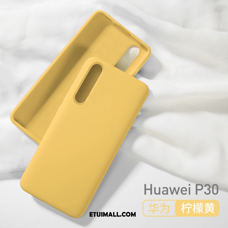 Etui Huawei P30 Wiatr Wysoki Koniec All Inclusive Nubuku Modna Marka Obudowa Oferta
