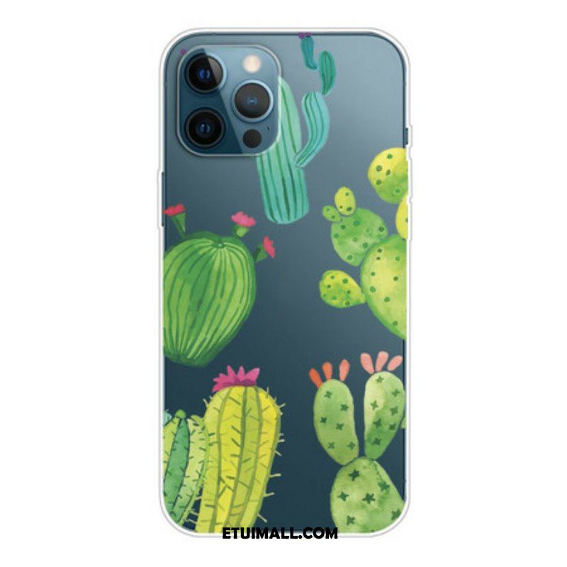 Etui do iPhone 13 Pro Akwarela Kaktusy