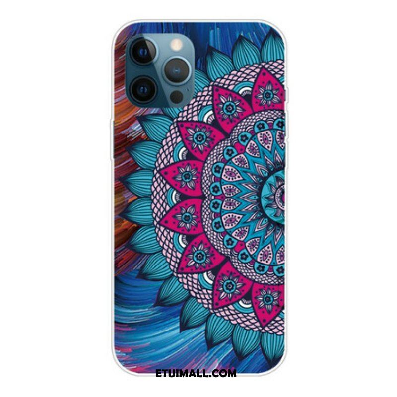 Etui do iPhone 13 Pro Max Kolorowa Mandala