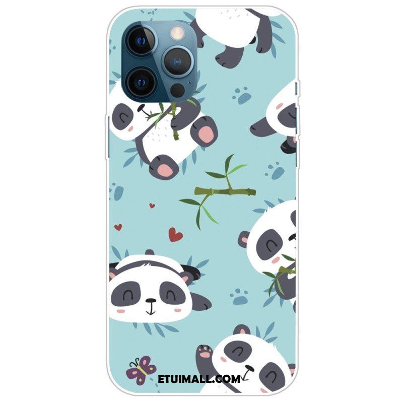 Etui do iPhone 14 Pro Banda Pand