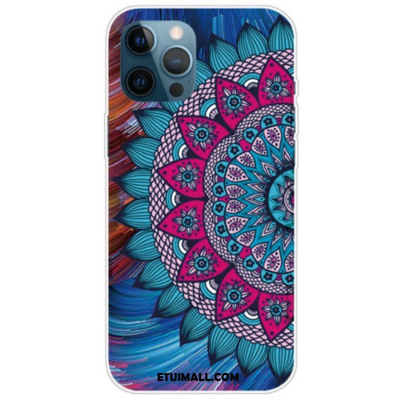 Etui do iPhone 14 Pro Max Kolorowa Mandala